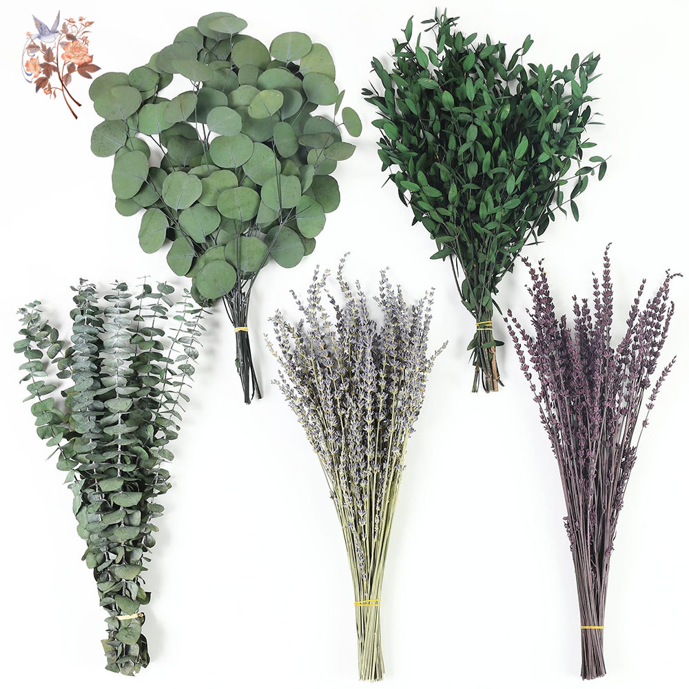 Home Fragrance Fillers - 110 pçs mix folhas de eucalipto
